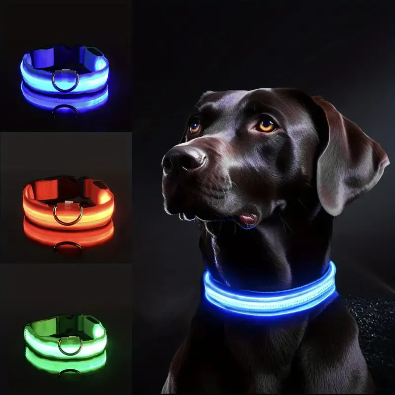 Halsbånd til hund med Flashlys